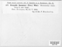 Image Associated With the Occurrence